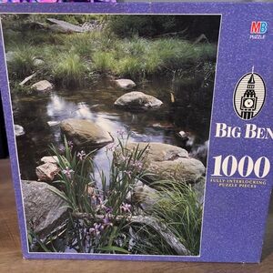 Big Ben 1000 Piece Puzzle Spring Iris Harriman State Park, NY